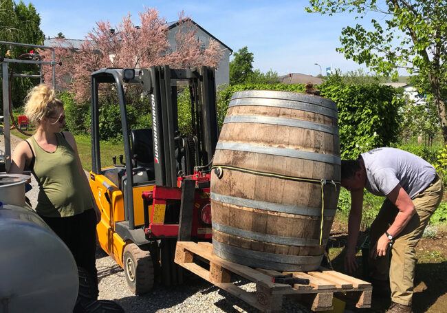 WG „Rennersisters“