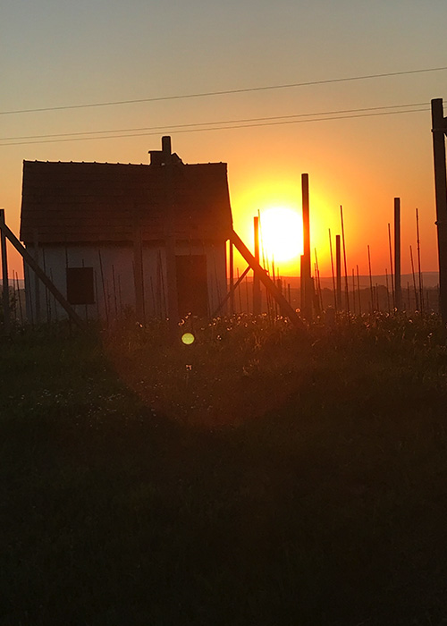 Steiermark